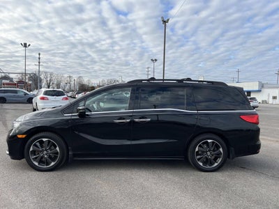 2023 Honda Odyssey Elite